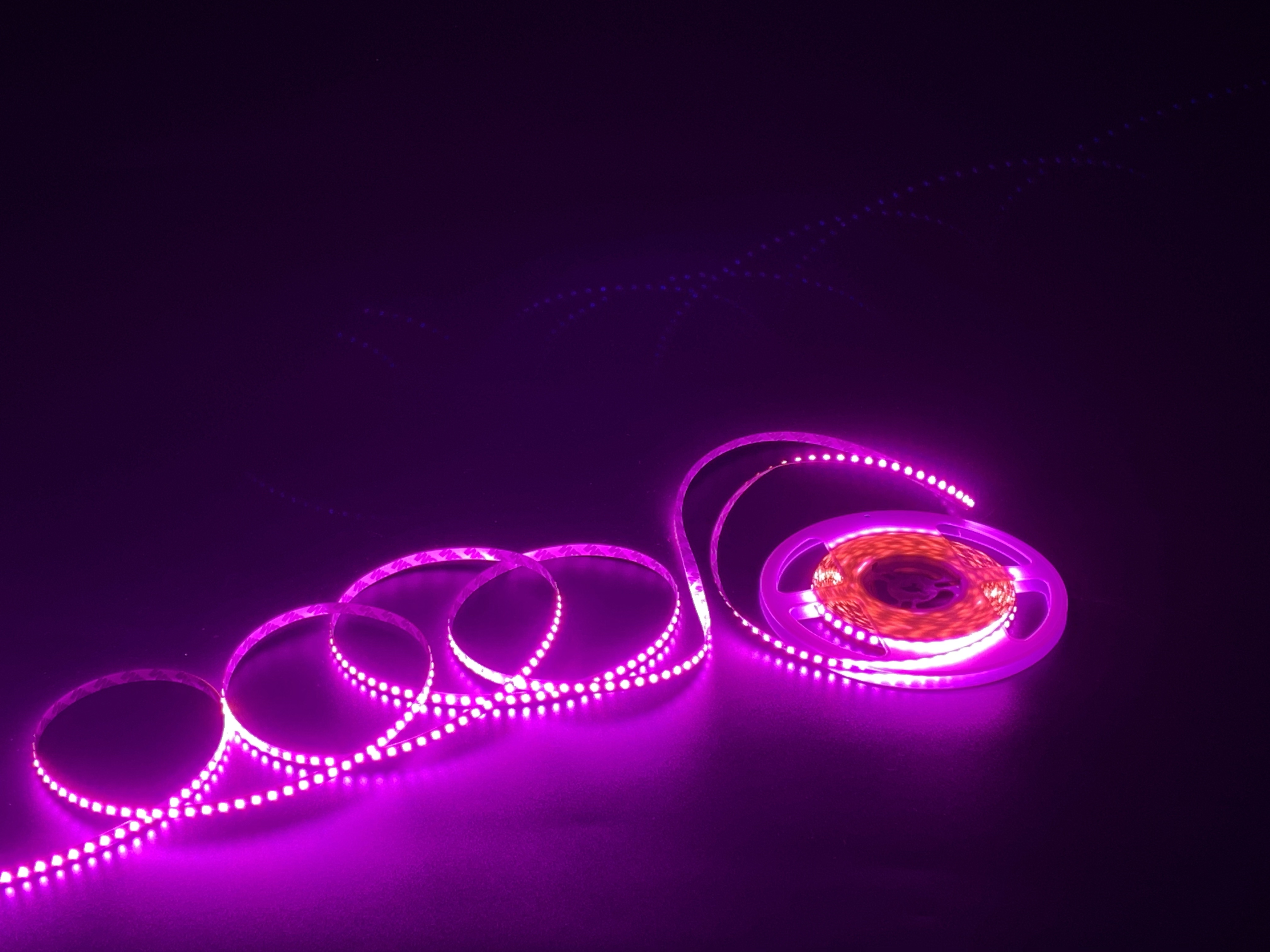 Светодиодная лента Led strip 2835-120Р Pink:100M 2,5W